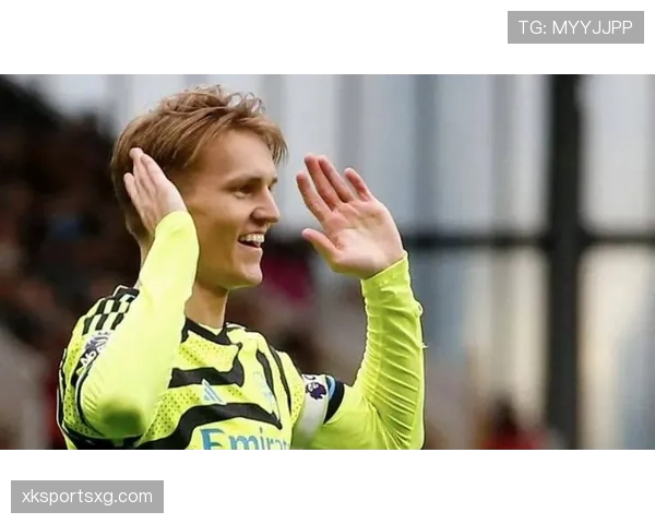 厄德高与B费创造力构成及战术结构差异分析